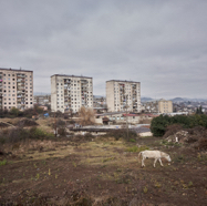 Karabach 1095.jpg